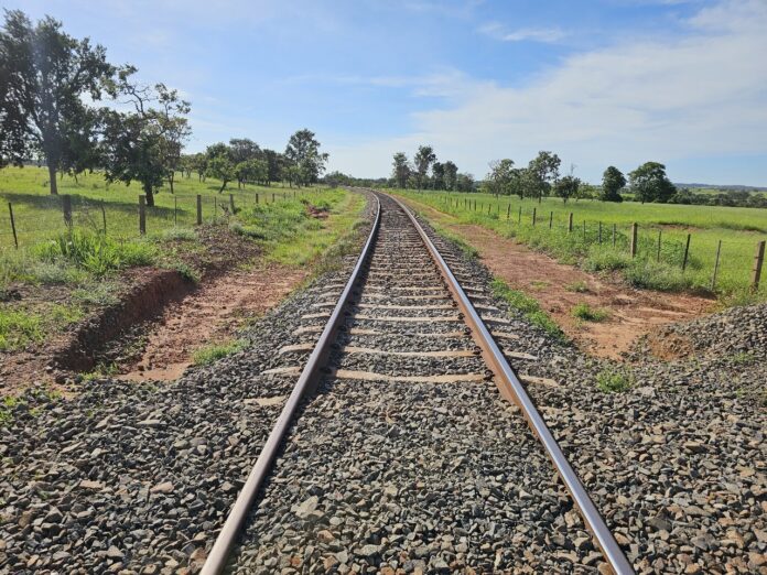 WhatsApp Image 2025-11-13 at 18.04.26