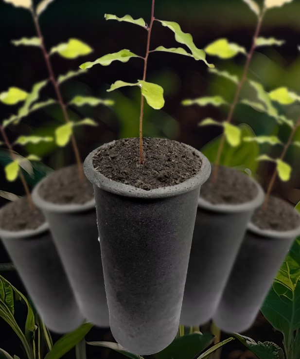 ZPE de Bataguassu atrai Biotub e R$ 37 milhões em investimentos ZPE de Bataguassu atrai Biotub e R$ 37 milhões em investimentos