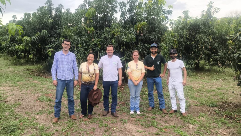Três Lagoas celebra o sucesso do 1º Seminário Estadual da Manga com vivência prática e inovação no campo