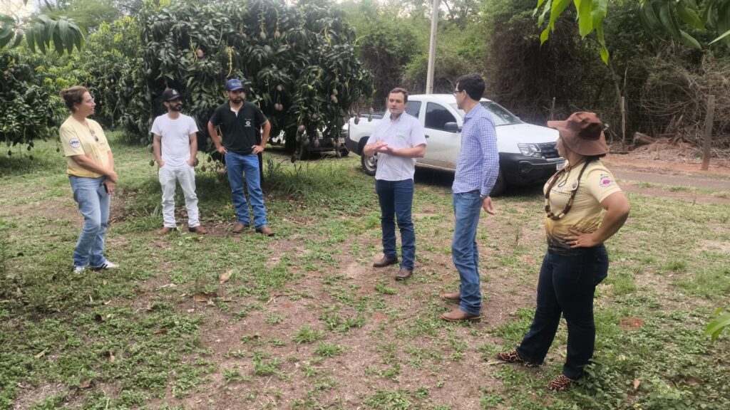 Três Lagoas celebra o sucesso do 1º Seminário Estadual da Manga com vivência prática e inovação no campo