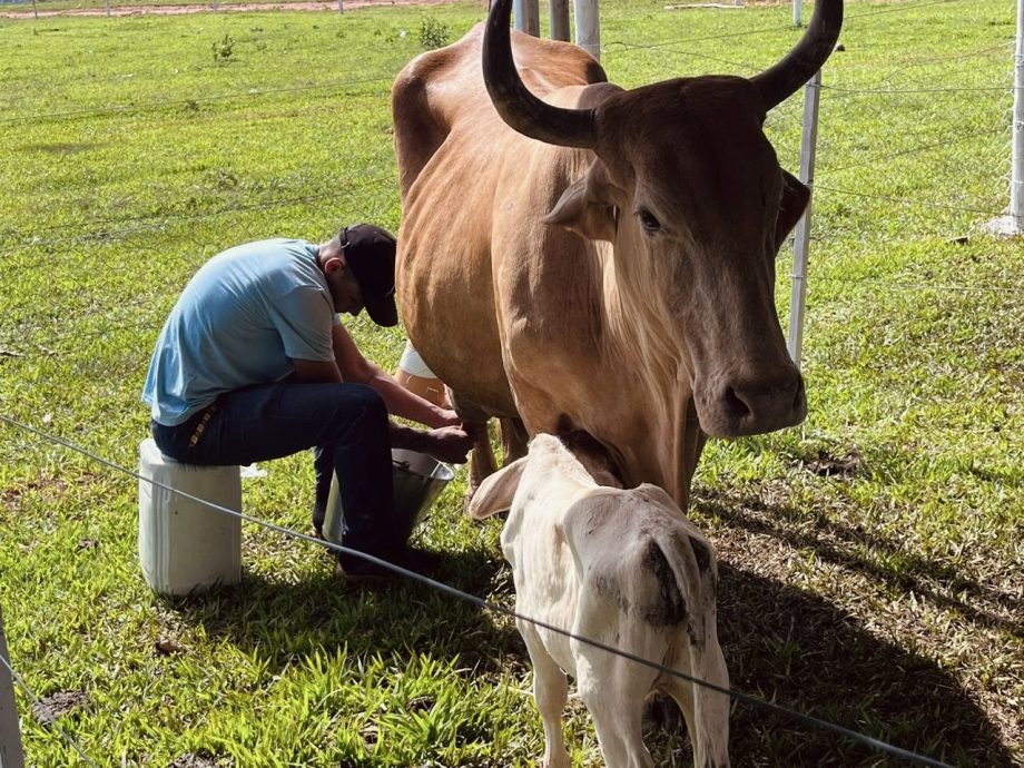 2º Torneio Leiteiro do Arapuá supera expectativas e consolida tradição 2º Torneio Leiteiro do Arapuá supera expectativas e consolida tradição