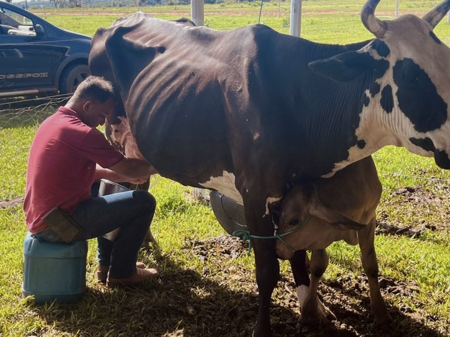 2º Torneio Leiteiro do Arapuá supera expectativas e consolida tradição 2º Torneio Leiteiro do Arapuá supera expectativas e consolida tradição
