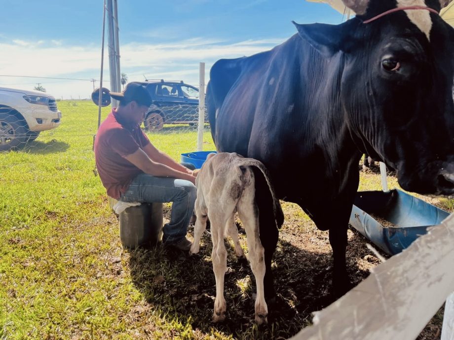 2º Torneio Leiteiro do Arapuá supera expectativas e consolida tradição 2º Torneio Leiteiro do Arapuá supera expectativas e consolida tradição