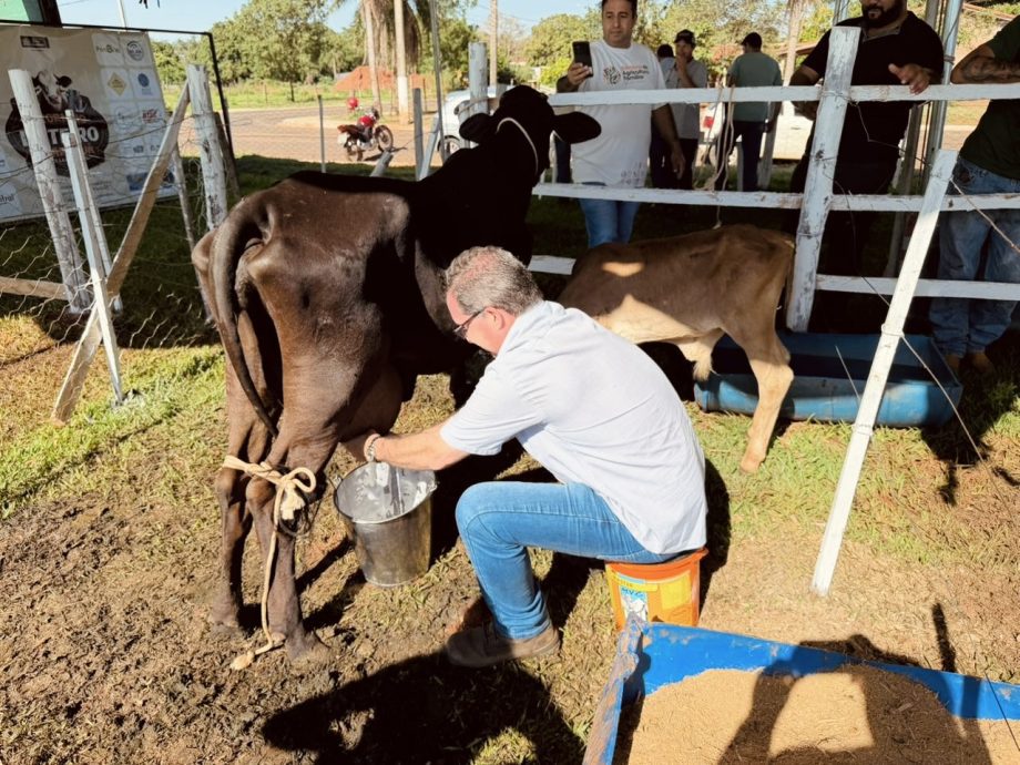 2º Torneio Leiteiro do Arapuá supera expectativas e consolida tradição 2º Torneio Leiteiro do Arapuá supera expectativas e consolida tradição