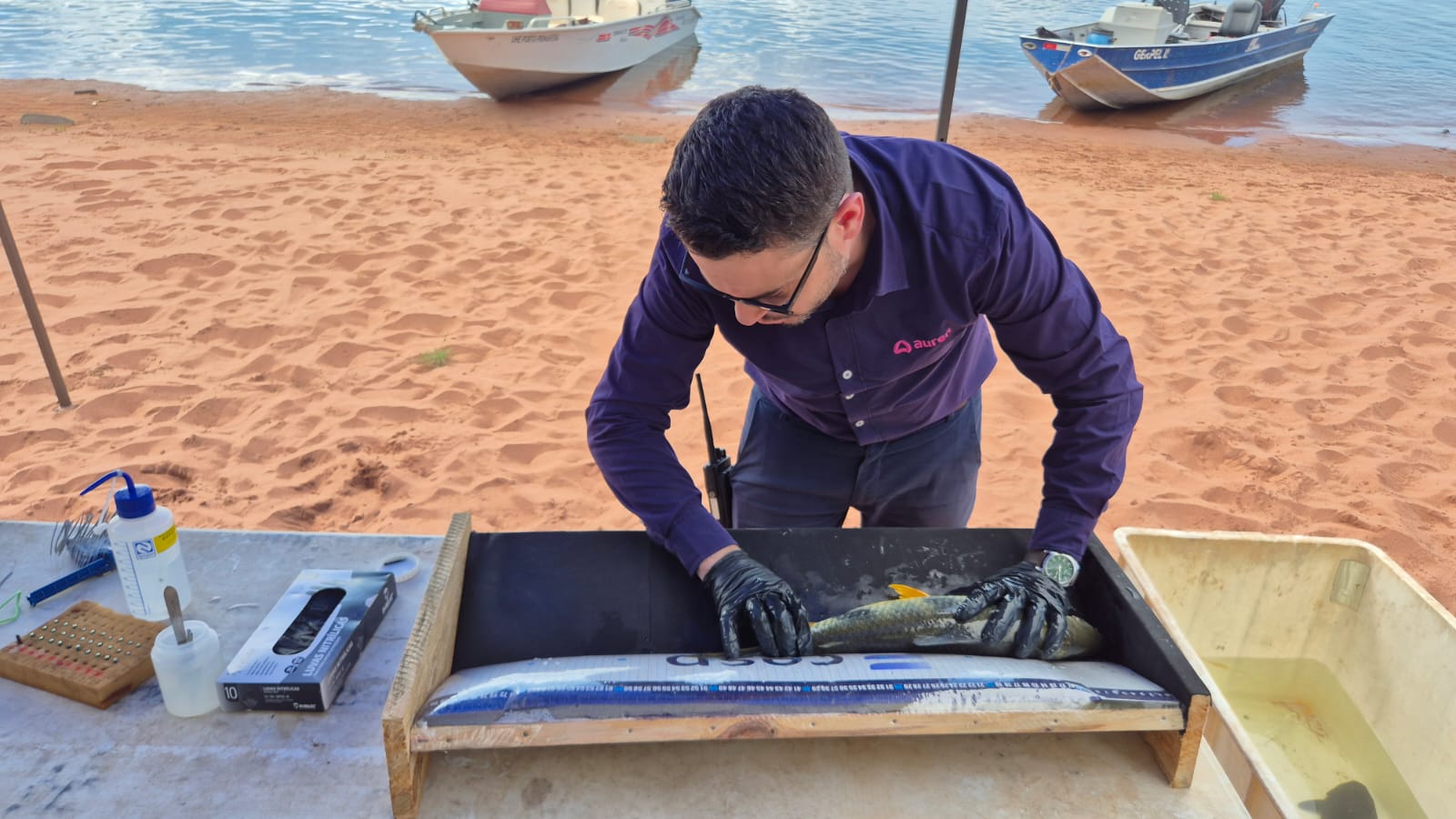 CESP implanta microchips em 600 peixes nativos do Rio Paraná para monitorar espécies migratórias durante a piracema CESP implanta microchips em 600 peixes nativos do Rio Paraná para monitorar espécies migratórias durante a piracema