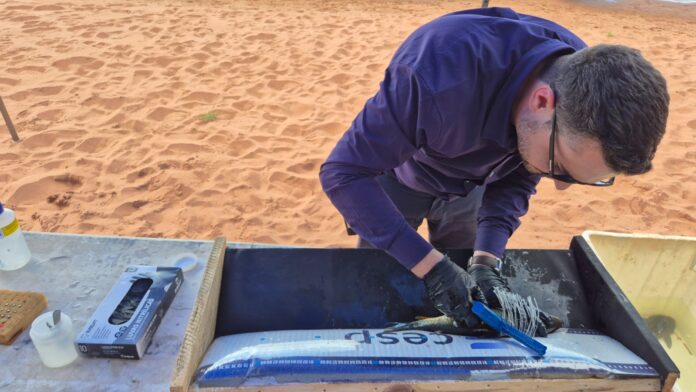 CESP_Monitoramento de ictiofauna_2025.2026 4