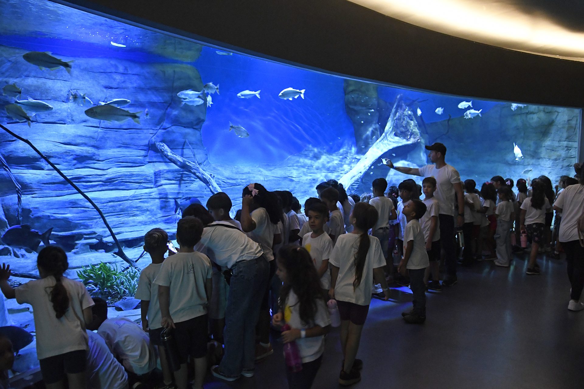 Campanha da Caixa Encantada termina com presentes e atividades para 200 crianças no Bioparque