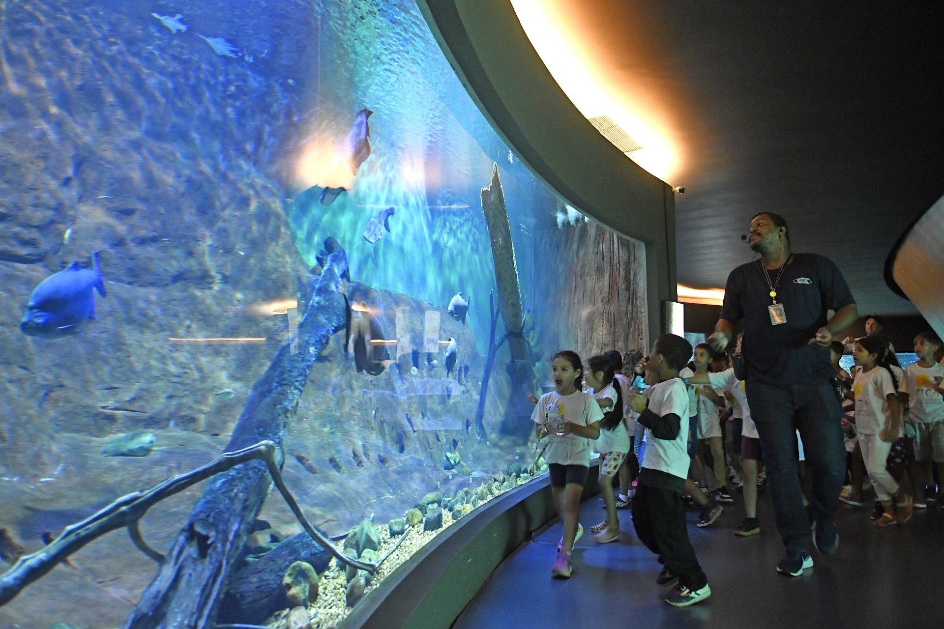 Campanha da Caixa Encantada termina com presentes e atividades para 200 crianças no Bioparque