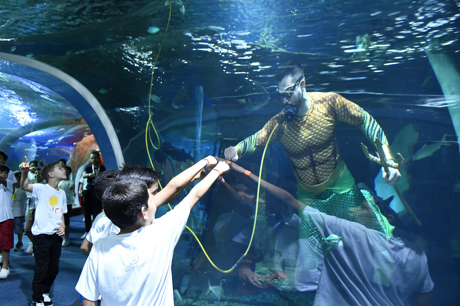 Campanha da Caixa Encantada termina com presentes e atividades para 200 crianças no Bioparque