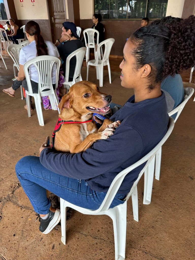 Governo de MS encerra 2025 com mais de 16 mil animais castrados e avanços históricos na proteção da vida animal