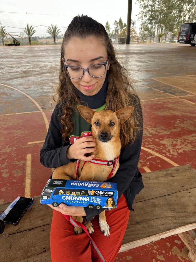 Governo de MS encerra 2025 com mais de 16 mil animais castrados e avanços históricos na proteção da vida animal