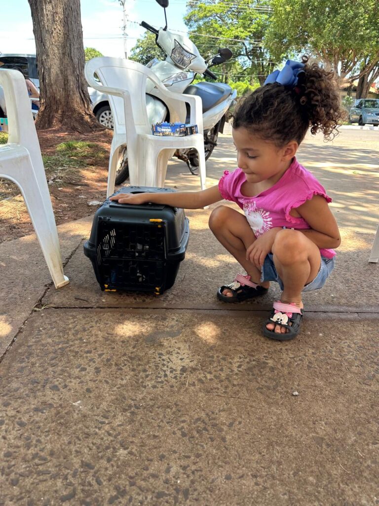 Governo de MS encerra 2025 com mais de 16 mil animais castrados e avanços históricos na proteção da vida animal