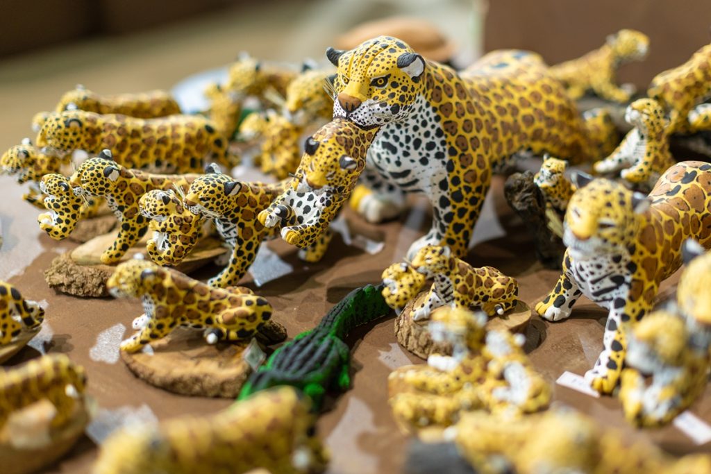 Economia criativa impulsiona desenvolvimento regional e promove inclusão em MS