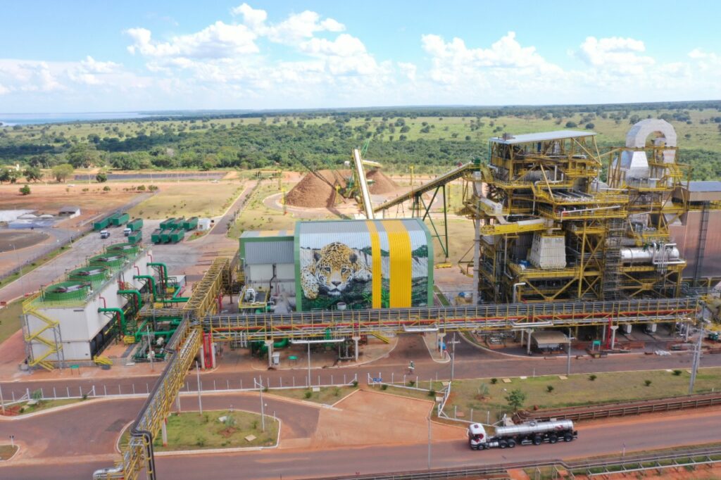 Eldorado planeja ampliar área de eucalipto e reforça protagonismo de Três Lagoas no “Vale da Celulose”