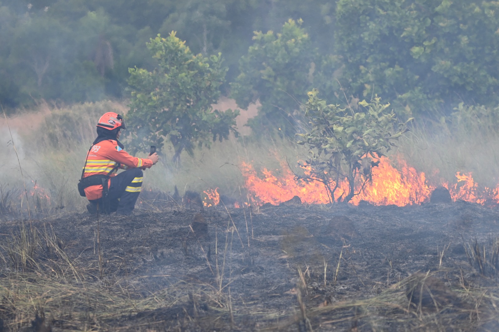 Operação Pantanal 2025 apresenta balanço com redução expressiva em focos de incêndios e hectares afetados