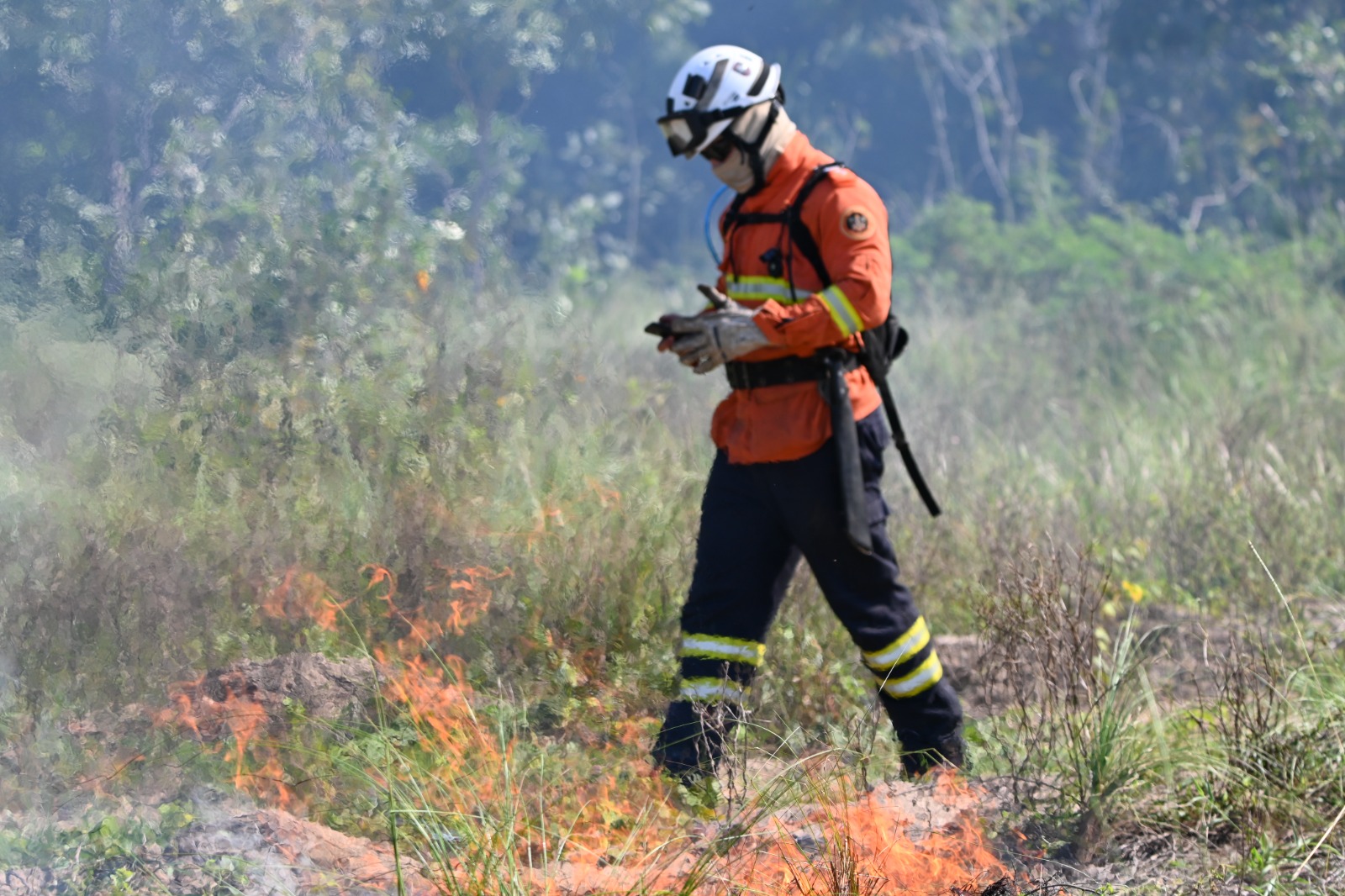Operação Pantanal 2025 apresenta balanço com redução expressiva em focos de incêndios e hectares afetados