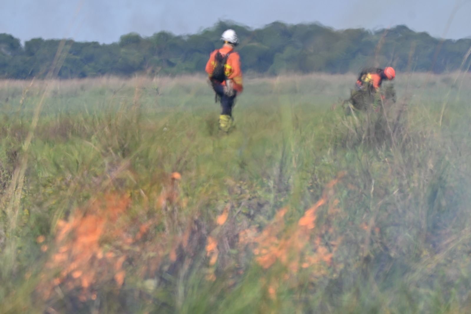 Operação Pantanal 2025 apresenta balanço com redução expressiva em focos de incêndios e hectares afetados