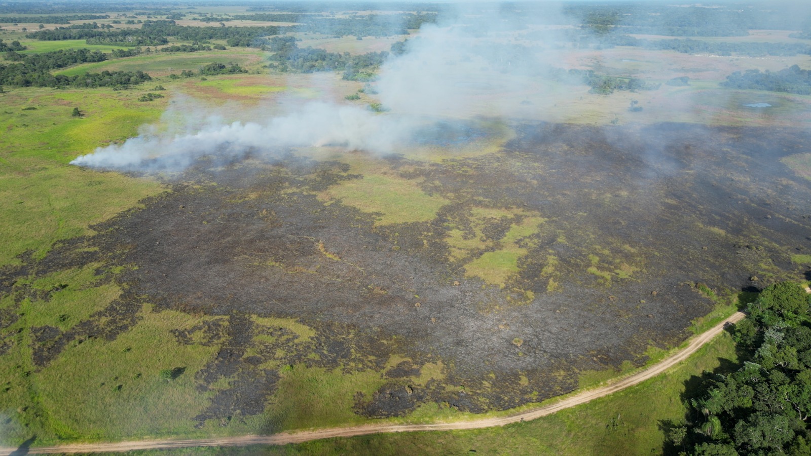 Operação Pantanal 2025 apresenta balanço com redução expressiva em focos de incêndios e hectares afetados