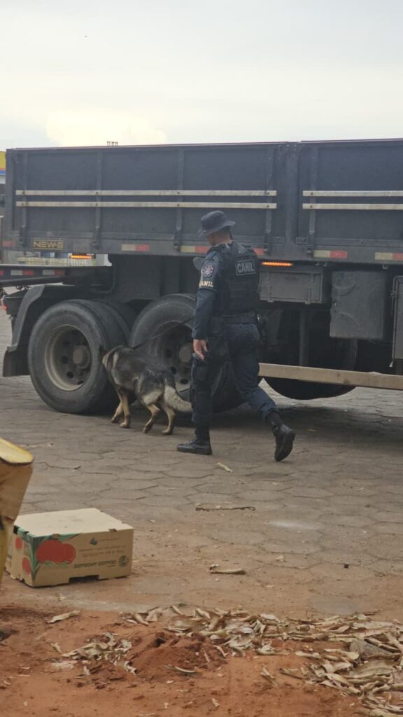 Canil da PM participa da Operação FARO