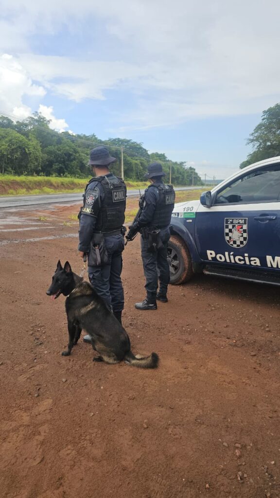 Canil da PM participa da Operação FARO