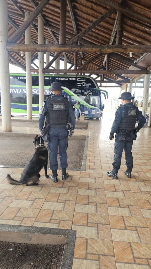 Canil da PM participa da Operação FARO