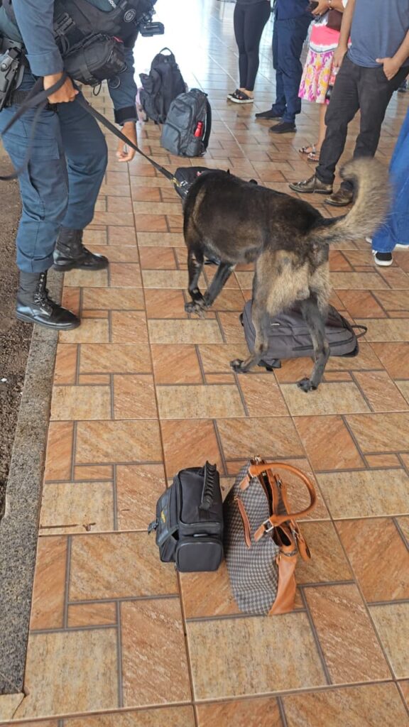 Canil da PM participa da Operação FARO