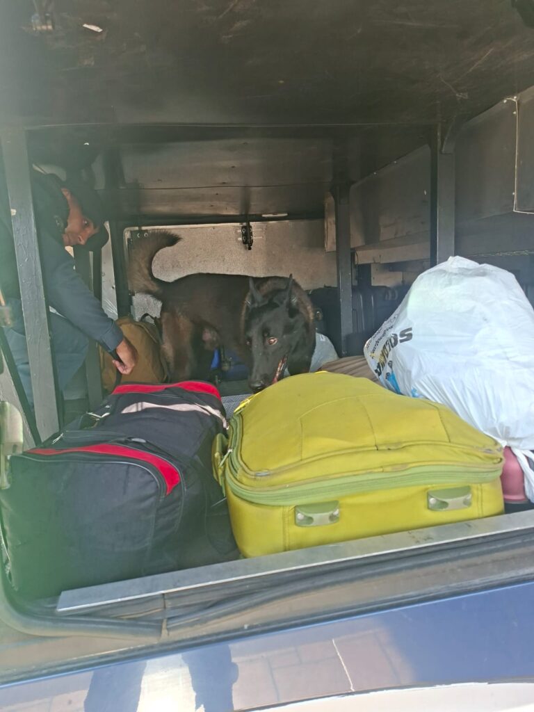 Canil da PM participa da Operação FARO