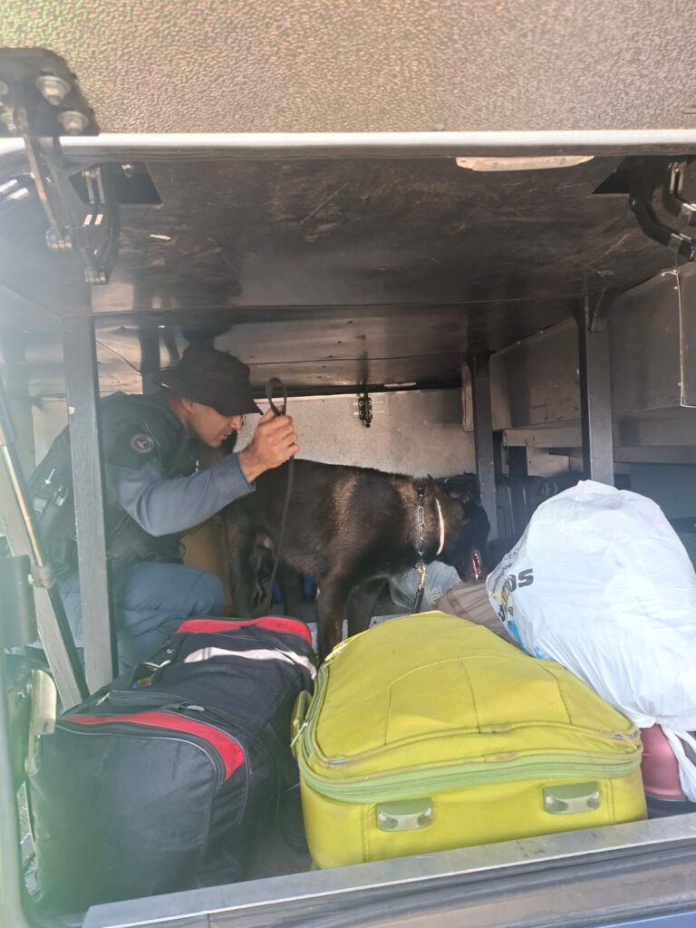 Canil da PM participa da Operação FARO