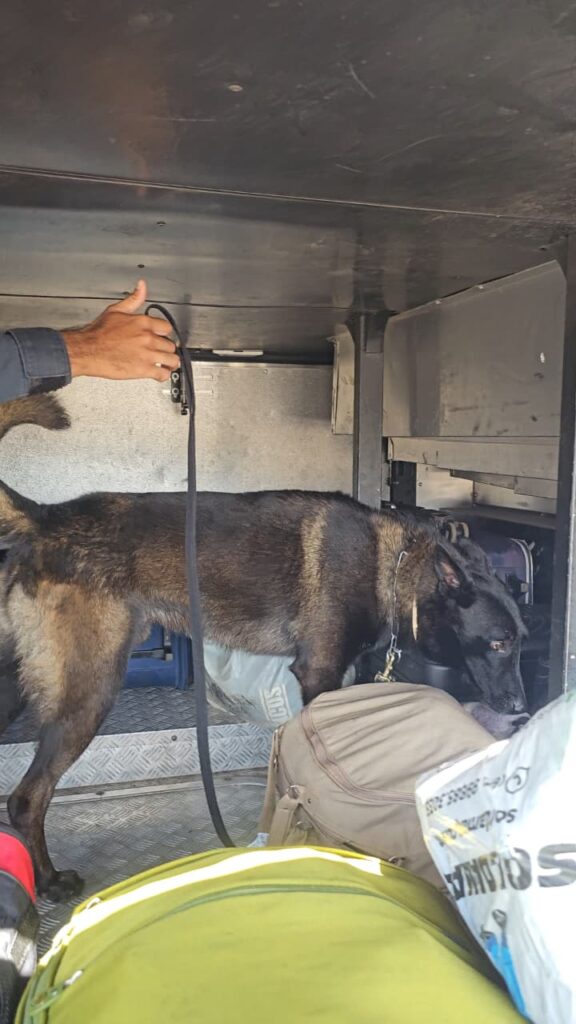 Canil da PM participa da Operação FARO