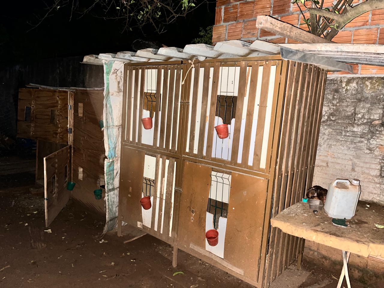 Policiais civis resgatam animais utilizados em rinha em Chapadão do Sul Policiais civis resgatam animais utilizados em rinha em Chapadão do Sul