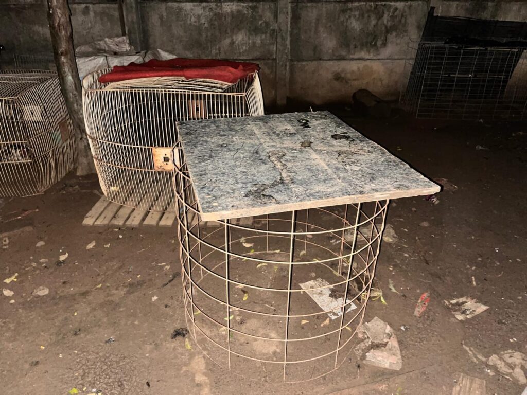 Policiais civis resgatam animais utilizados em rinha em Chapadão do Sul Policiais civis resgatam animais utilizados em rinha em Chapadão do Sul