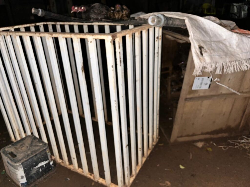 Policiais civis resgatam animais utilizados em rinha em Chapadão do Sul Policiais civis resgatam animais utilizados em rinha em Chapadão do Sul