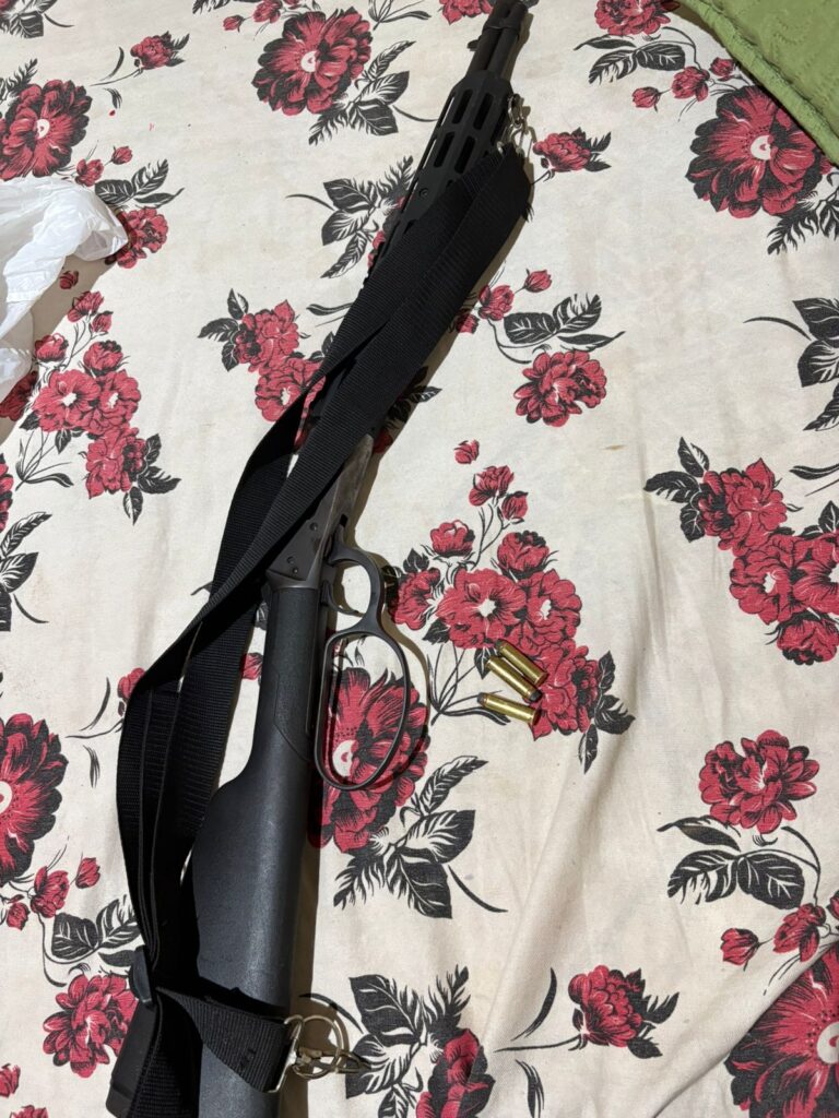 Polícia Civil apreende armas de fogo e munição em Nova Andradina Polícia Civil apreende armas de fogo e munição em Nova Andradina