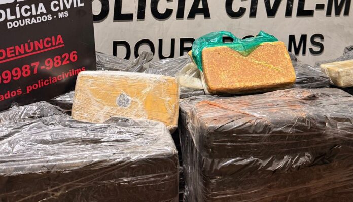 WhatsApp-Image-2025-12-11-at-09.13.48