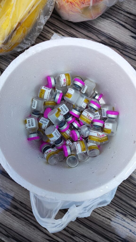 PRF apreende carga de medicamentos em Água Clara PRF apreende carga de medicamentos em Água Clara