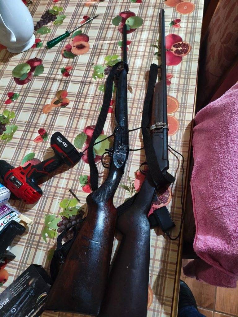 Polícia Civil prende homem por posse ilegal de armas, violência doméstica e crime ambiental em Anaurilândia