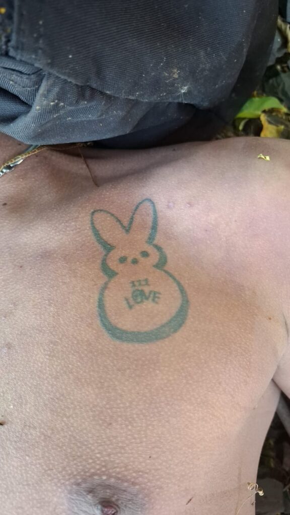 Ponte do Rio Paraná vira cenário de tragédia em Três Lagoas