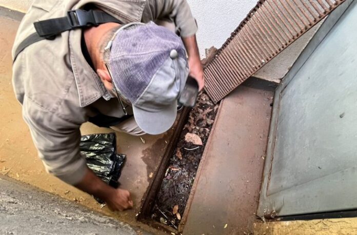 acao-enfrentamento-arboviroses-FotoKamillaRatier-28-11-2025-34-730x480