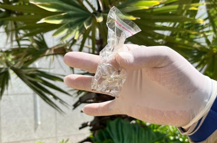 acao-enfrentamento-arboviroses-FotoKamillaRatier-28-11-2025-41-730x480