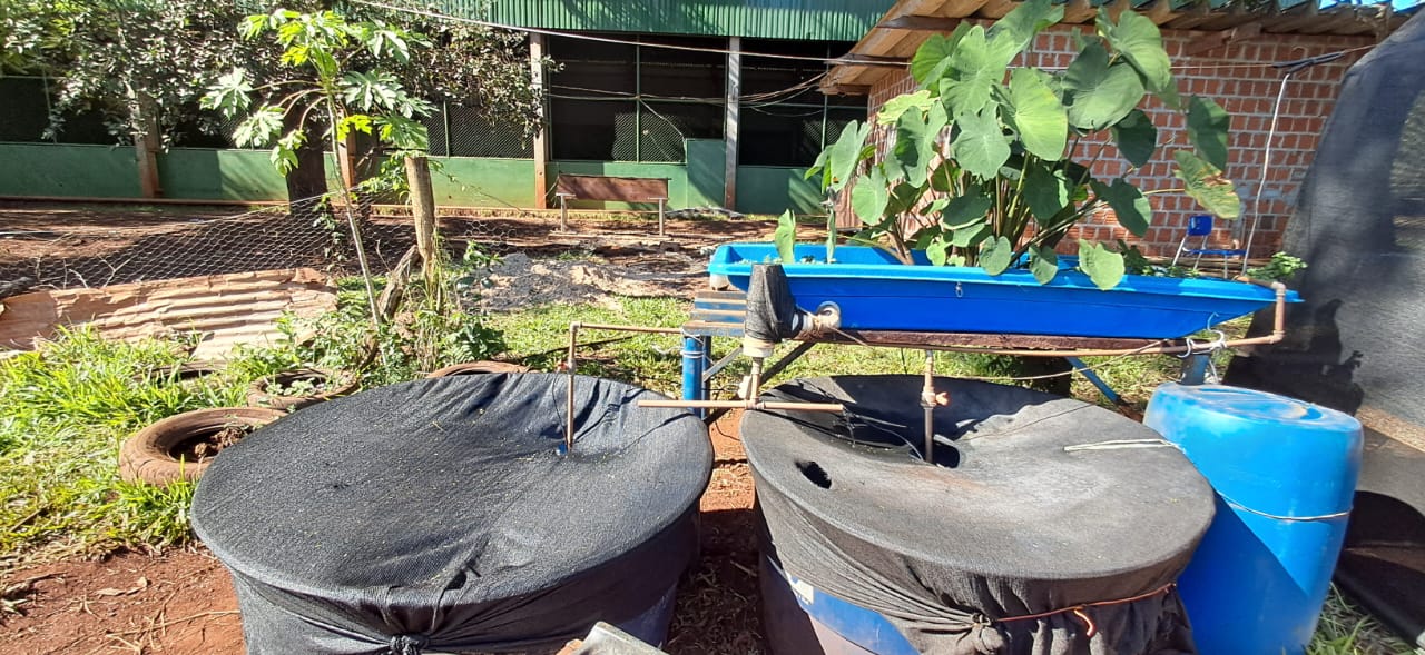 Com apoio do Governo de MS, projeto em escola rural contribui para desenvolvimento e inovação no campo