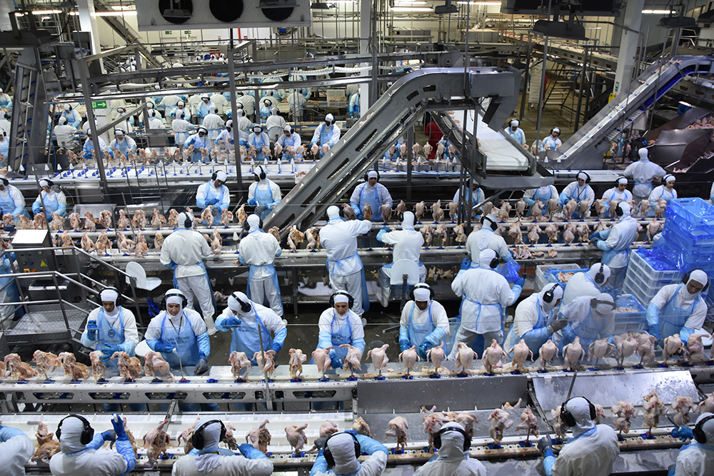 Exportações de industrializados de MS alcançou em novembro US$ 592,9 milhões Exportações de industrializados de MS alcançou em novembro US$ 592,9 milhões