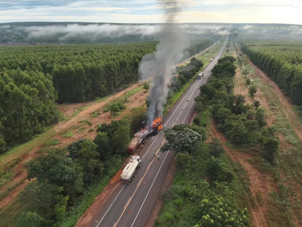 Carreta com carga de eucalipto é atingida por incêndio na BR-262, em Ribas do Rio Pardo