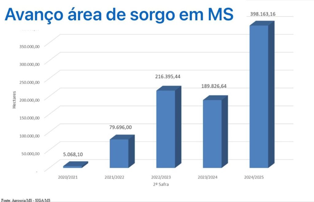 Sorgo cresce forte na safrinha de MS e vira aposta estratégica com demanda das usinas de etanol