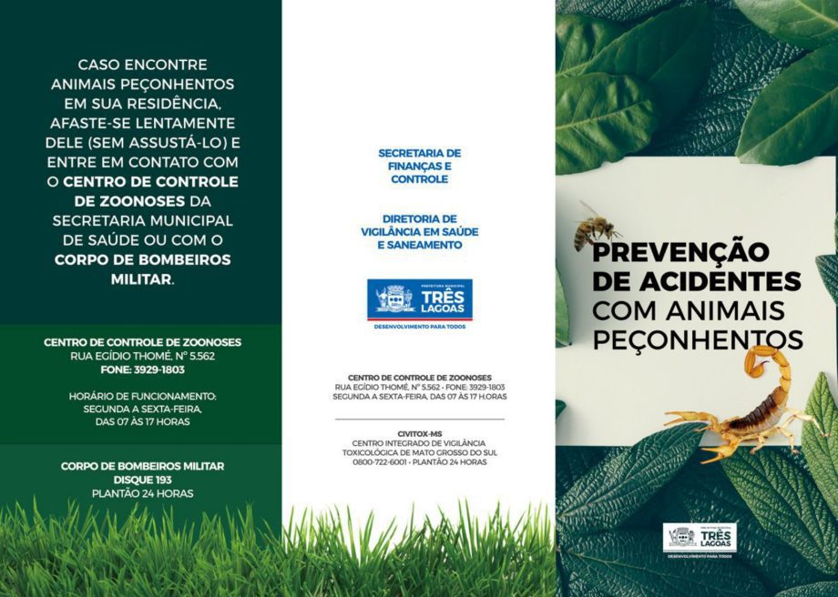 Atenção! Encontrou um animal peçonhento? Saiba como agir com segurança Atenção! Encontrou um animal peçonhento? Saiba como agir com segurança
