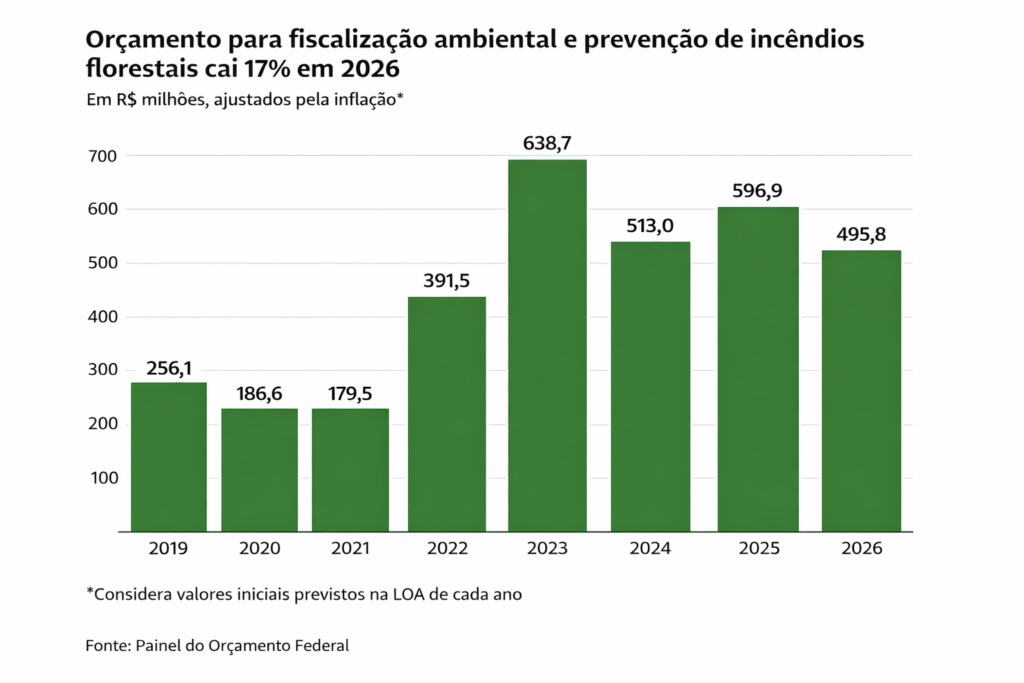 Brasil corta R$ 101 milhões para prevenção de incêndios e fiscalização ambiental