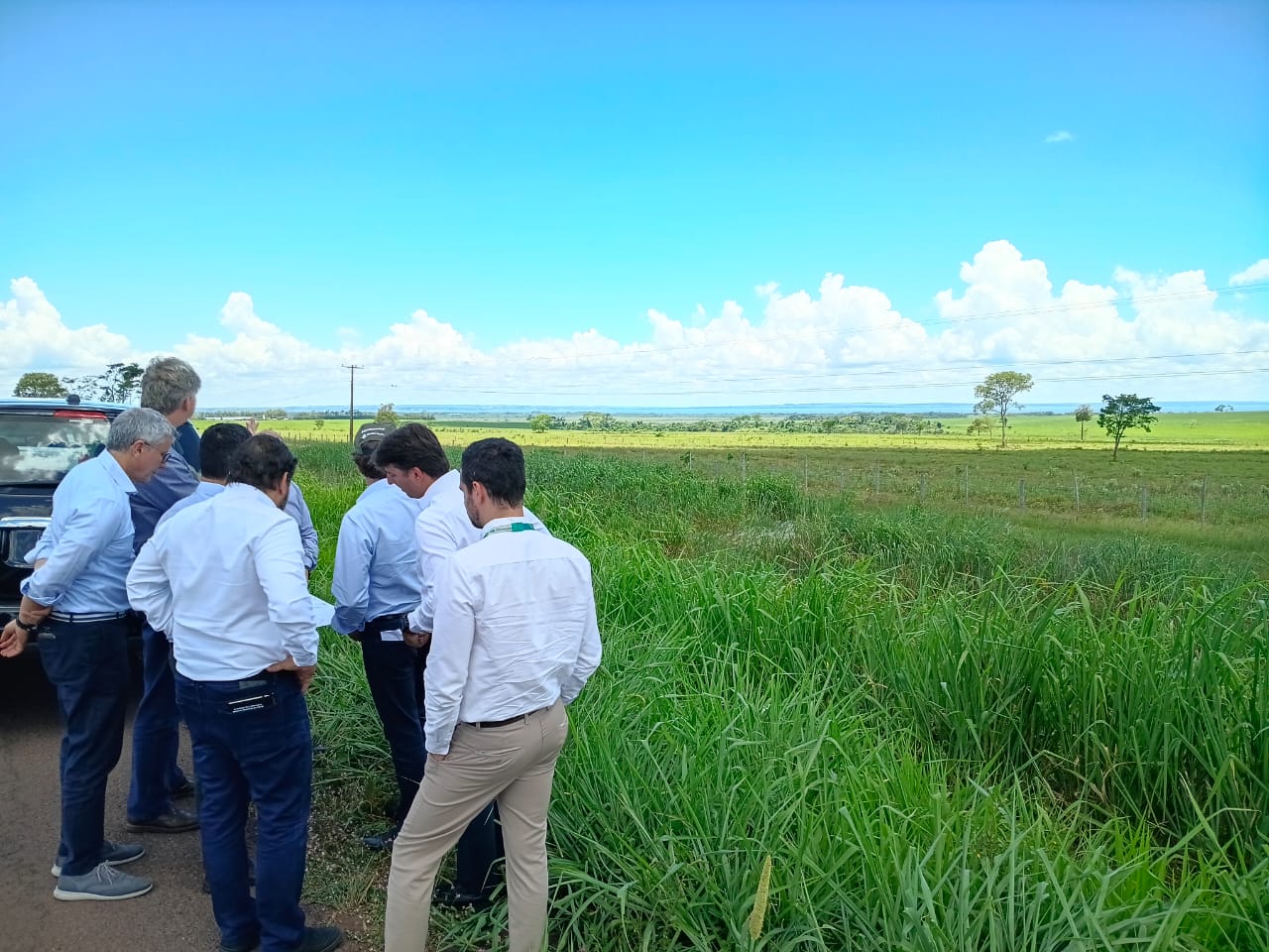 Governo do Estado articula soluções para viabilizar fábrica de celulose da Bracell em Bataguassu