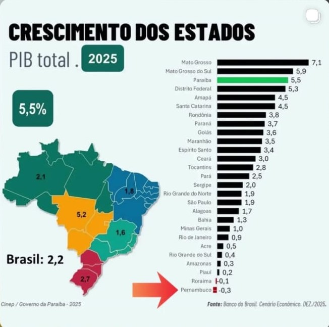 Agronegócio de MS cresceu 19% e celulose segue liderando o ranking de exportação