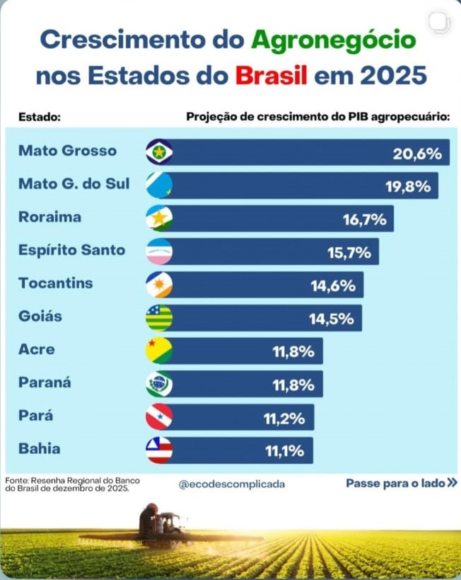 Agronegócio de MS cresceu 19% e celulose segue liderando o ranking de exportação