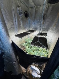 Polícia Civil localiza laboratório para cultivo ilícito de drogas em Chapadão do Sul Polícia Civil localiza laboratório para cultivo ilícito de drogas em Chapadão do Sul