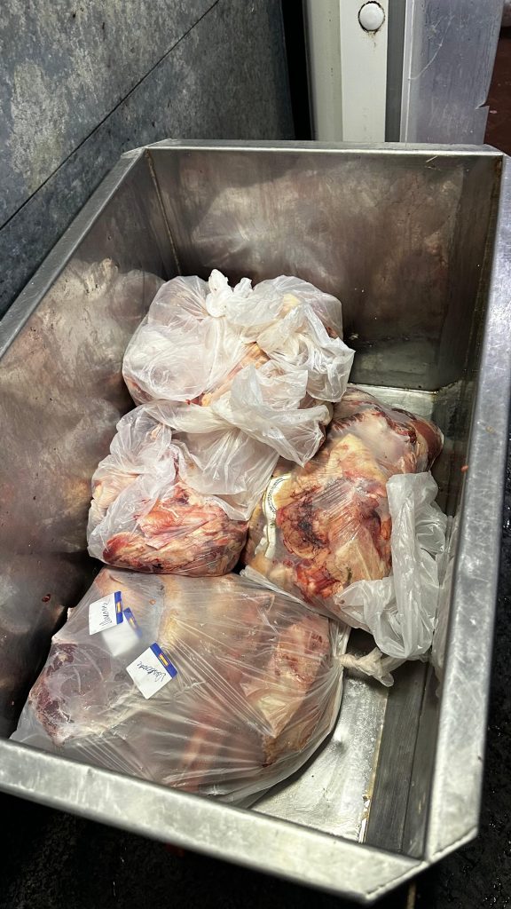 Polícia Civil apreende mais de 2 toneladas de carnes impróprias para o consumo em Campo Grande